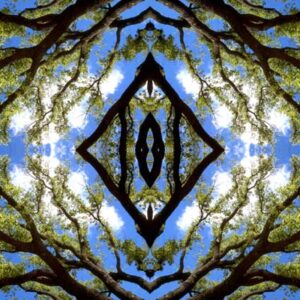 like-a-diamond-in-the-sky