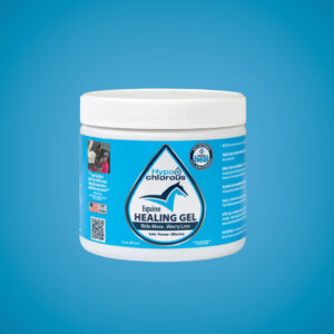 SaniMeasures Hypochlorous (HOCl) 16oz Equine Healing Gel