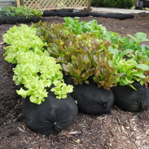 GardenSoxx Kits - 4x4 & 4x8